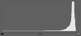 The histogram shows a picture that’s almost overexposed, but the reality is a bit different. The way this photo is perceived is heavily influenced by the fact that most of it is white.