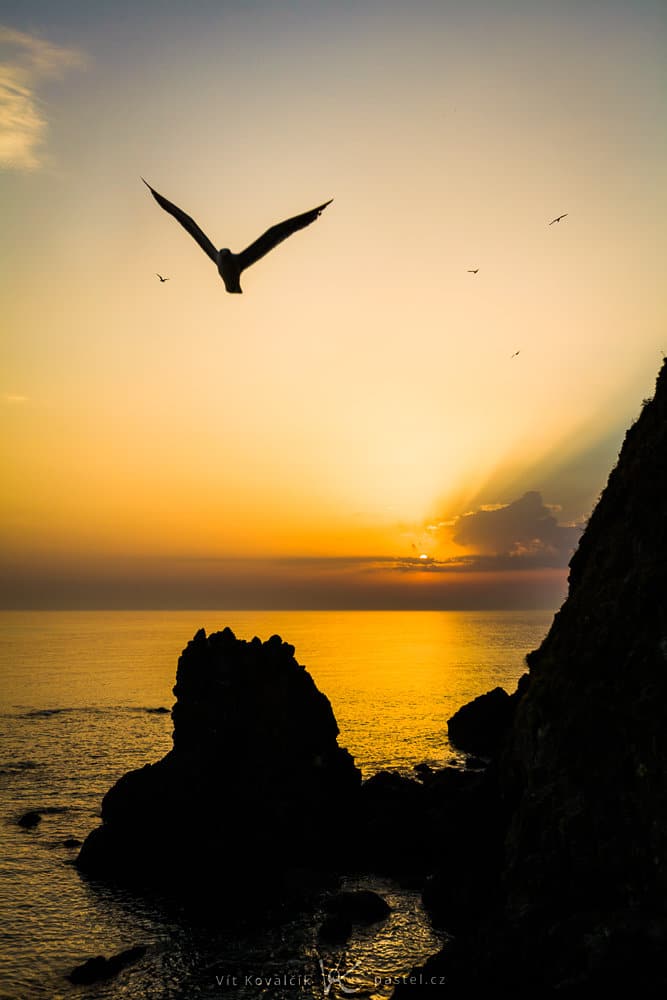 A seagull by Spanish shores. Canon 5D Mark II, Canon EF 16–35/2.8 II, 1/640 s, f/7.1, ISO 400, focus 35 mm