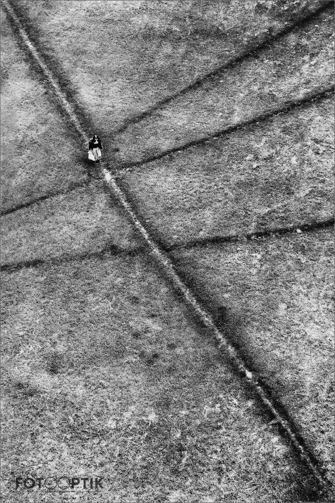 A clear diagonal. Photo: Imrich Gonda