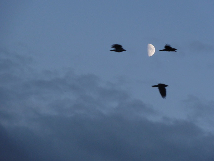 A really great snapshot that really couldn’t have been taken in a better moment. Photo: by Pavo Marušić