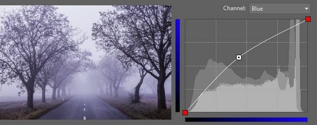 The blue tint comes from shifting the curve for the blue channel.