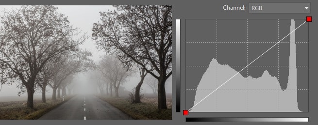 Our sample picture and the starting curve.