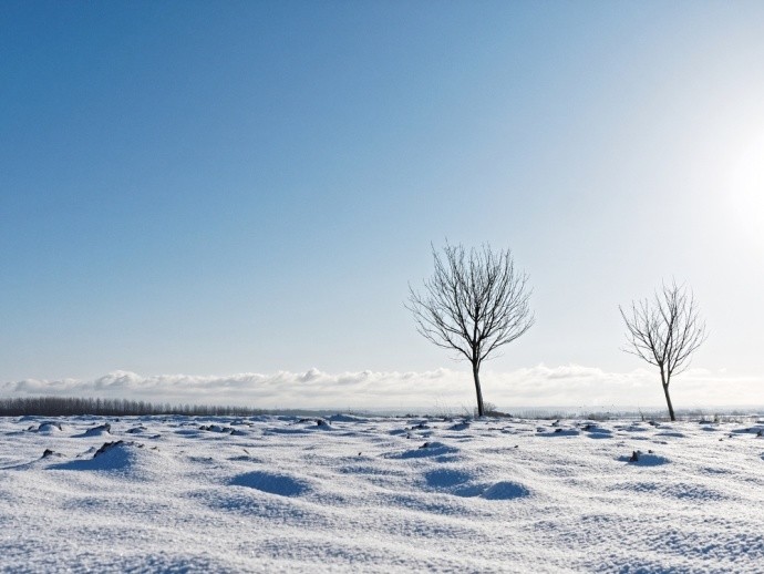 A pleasant picture in both composition and technique. Ideal for a winter-month calendar. Photo: by Jcgraas