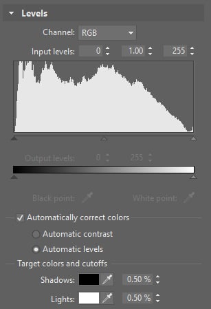 Zoner Studio can automatically adjust either a photo’s contrast, or its histogram levels directly.