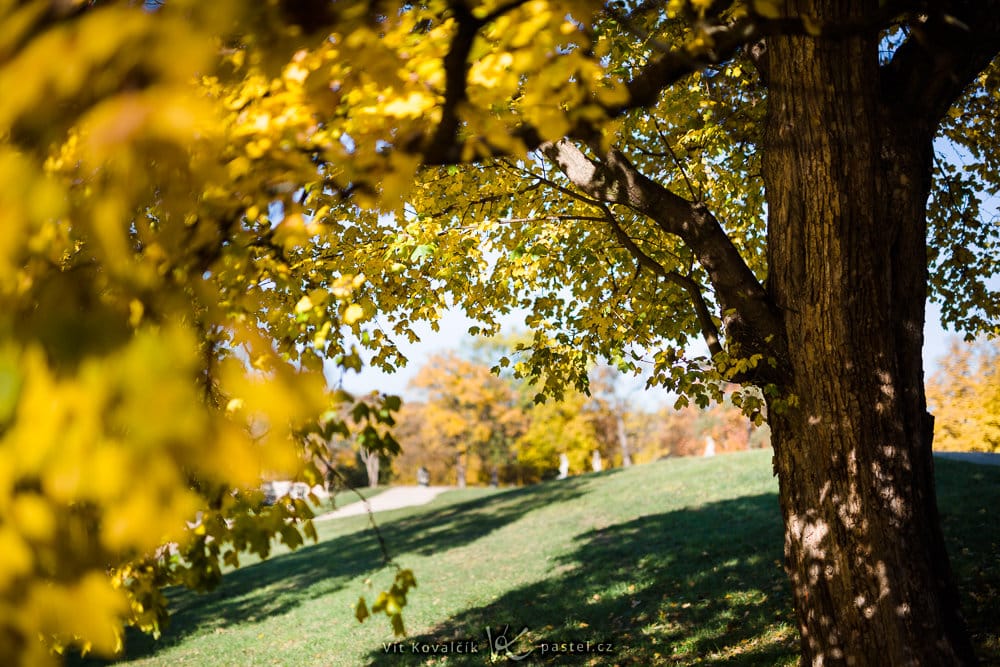 An illustrative photo that can be used to supplement other more important ones. Canon 5D Mark III, Sigma 50/1.4 Art, 1/3200 s, f/1.4, ISO 100, focal length 50 mm