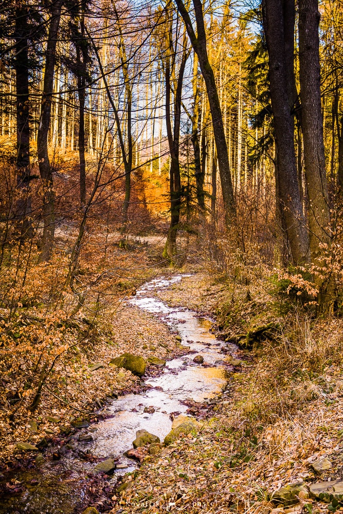 The stream forms an S. Canon 5D Mark III, Canon EF 24-70/2.8 II, 1/40 s, f/8, ISO 200, focal length 43 mm