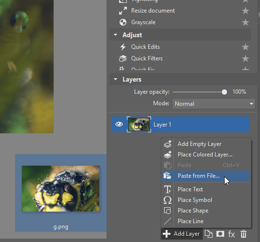 Add new photos to new layers.
