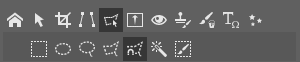 The Magnetic Lasso, in the right panel’s “Selection” tool group.