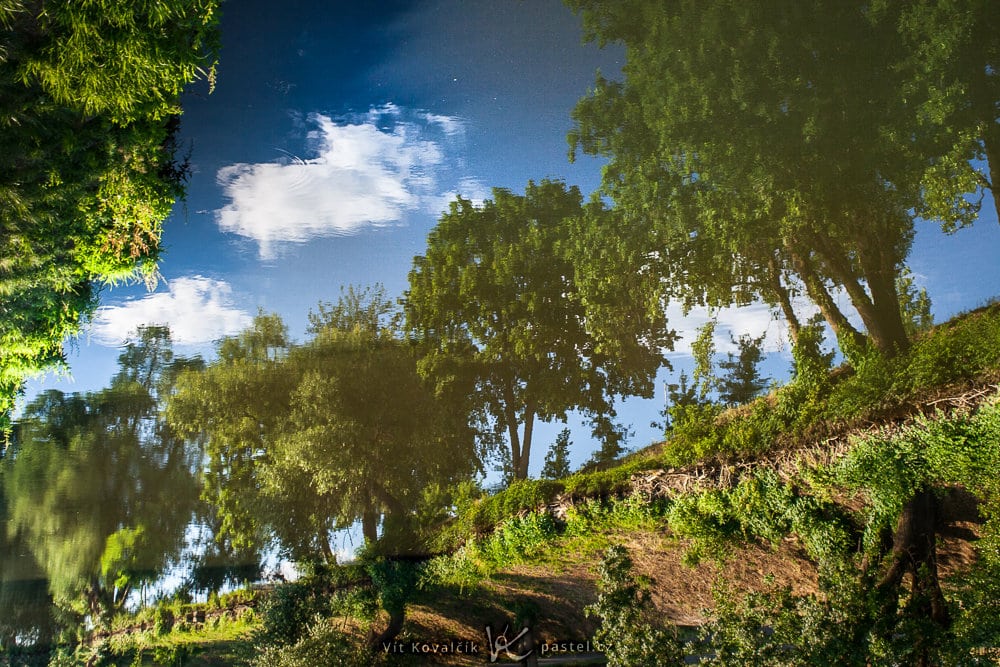 With the reflection emphasized like this, the scene looks like it was taken from somewhere far below the trees. Canon 350D, Macro-Revuenon 24/4, 1/40 s, approx. f/8, ISO 100, focal length 24 mm