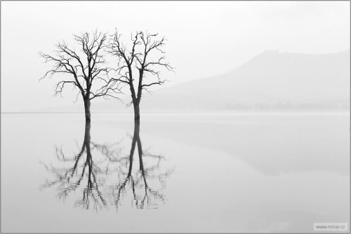 landscape-006