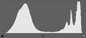 In this histogram you can see that there’s been no loss of detail in either the lights or shadows. So the picture you see before you has technically correct exposure.
