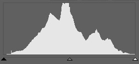 This histogram looks like a beautiful mountain range; it’s evenly distributed from 0 to 255. This is the classical “ideal histogram.”