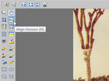 Activate the Align Horizon tool (H).