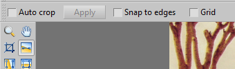 The Options toolbar.