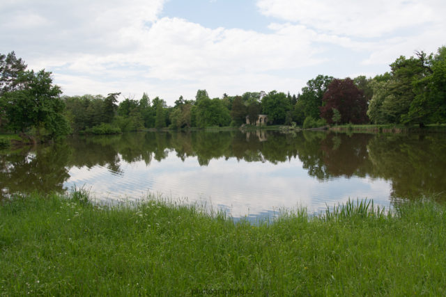 pond