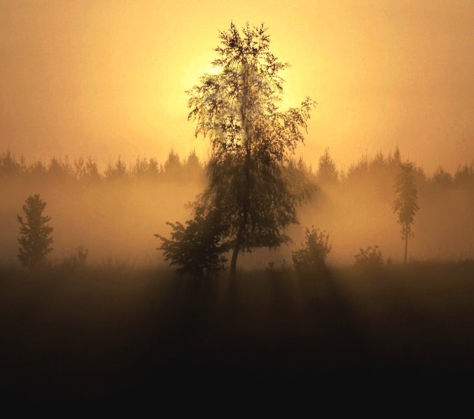 You can also use colored filters to create fantastical colored scenery like this.