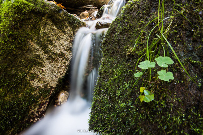 A small waterfall with a plant. Only once I got home did I realize that the wind had blown during this 30-second exposure, and the plant was mildly blurred. Fortunately I could mostly fix the problem on a computer. Canon 5D Mark III, EF Canon 16–35 mm f/2.8 II USM, 30 s, F22, ISO 100, focus 16 mm. Photo: Vít Kovalčík