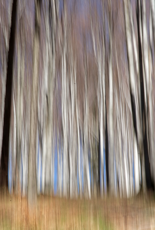 Nikon D200, Nikkor 18–70 mm F3.5–4.5G ED-IF AF-S DX, 1/13 s, F29, ISO 100, focus 105 mm. Photo: Ivo Prümmer