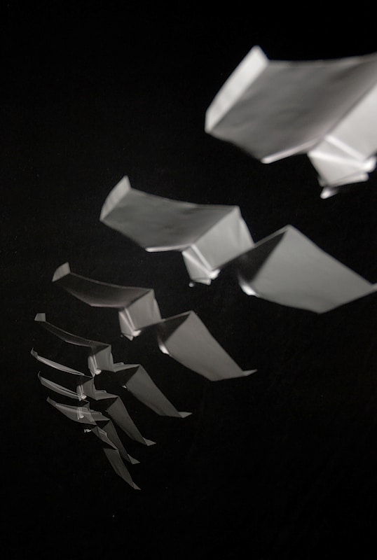 Stroboscopic Effect, Photo: Ivo Prümmer