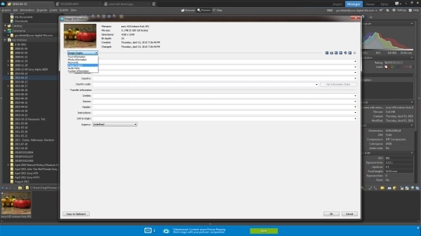 You can make detailed edits to your EXIF data by hitting shift/enter and using the drop-down menu.