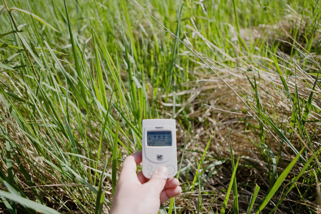 Grass absorbs ground radiation.