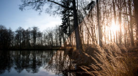 How Do You Edit RAW? Actually, It’s Easy