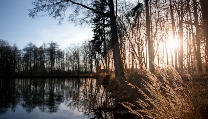 How Do You Edit RAW? Actually, It’s Easy