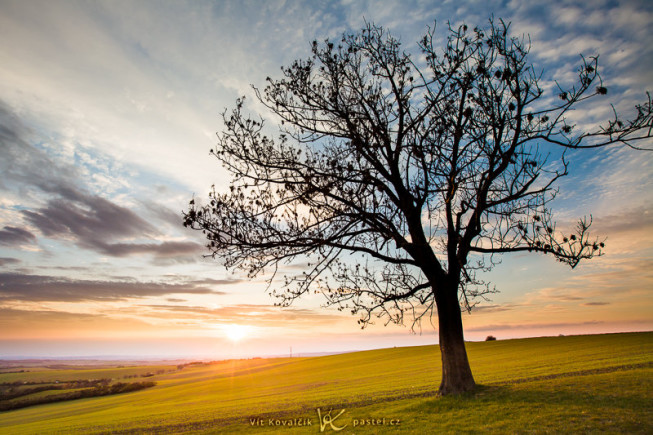 One last version. This time the horizon is positioned a third of the way up. It is especially striking due to the tree, not only because of depth but also because the tree, which looks black against the light, is a great contrast to the colored sky. Canon 5D Mark II, EF Canon 16-35 mm F2.8 II USM, 1/100 s, F9.0, ISO 100, focus 16 mm. Photo: Vít Kovalčík