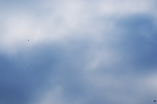 A tight-aperture photo of a clear blue sky with will help you discover all the impurities on your sensor. One good time to check this is right after cleaning your camera.