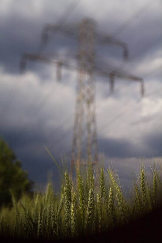 A photograph where the aperture has deliberately been raised to F8. If the lens were attached to the camera normally, then the blurring would not be nearly as visible. Canon EOS 5D Mark II, Sigma 50 mm F1.4, 1/500 s, F8.0 ISO 100, focus 50 mm.