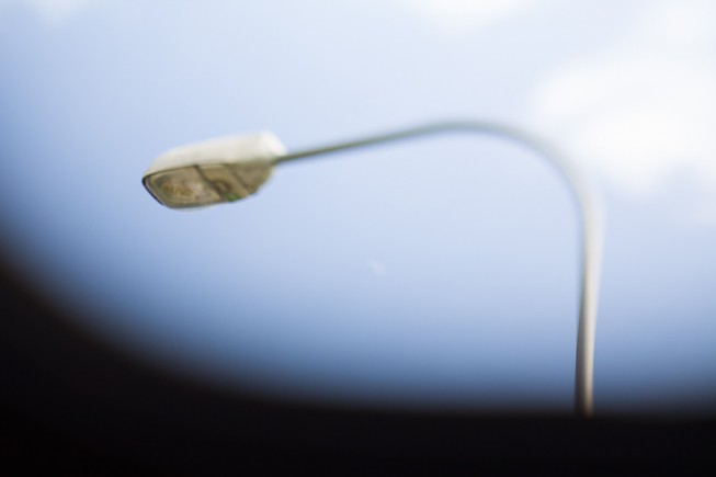 An extreme case of the sun penetrating on through to the sensor. The sharply bordered area corresponds to the space between the lens and the mount. Canon EOS 5D Mark II, probably Canon 85 mm F1.8, 1/1000 s, F1.8, ISO 100, focus 85 mm.