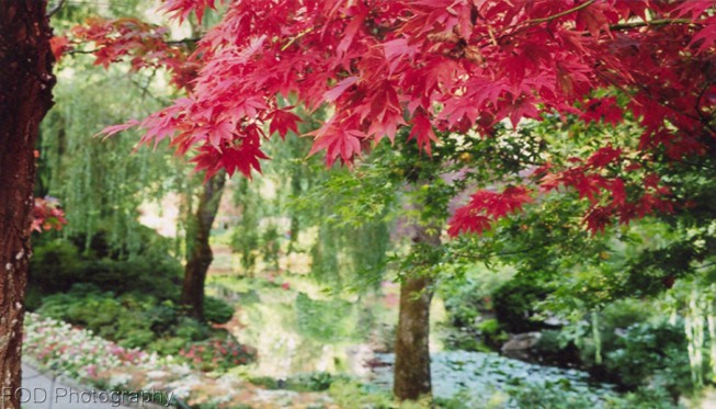 Fall Colors @ The Butchart Gardens, Vancouver Island (Victoria) – Karen Orman