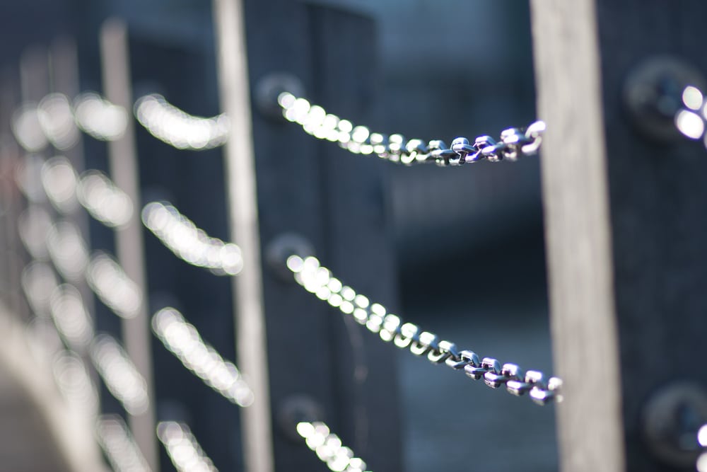 Highly visible green and purple contours on high-contrast areas. Canon 40D, Canon EF 85/1.8, 1/640 s, F1.8, ISO 100, focus 85 mm