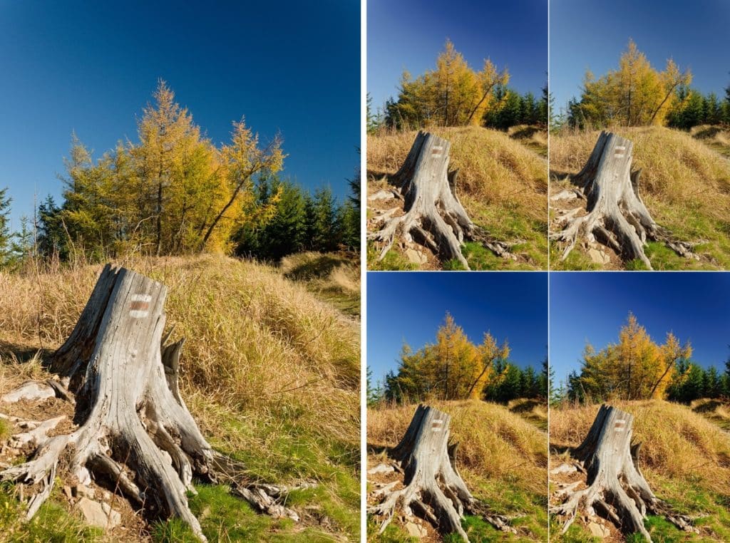 Lens Defects: Learn to Use LCPs (and DCPs): Default settings without using a DCP (left) and with the profiles named Standard, Neutral, Landscape, and Vivid.