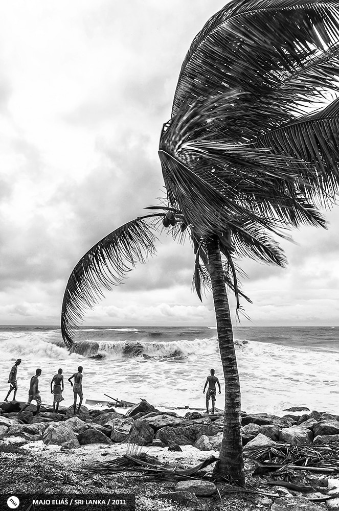 The strong contrast and striking composition clearly hint at what is in the photo. But for the full answer, the reader has to click through. The preview practically forces the reader to zoom in and take a look.