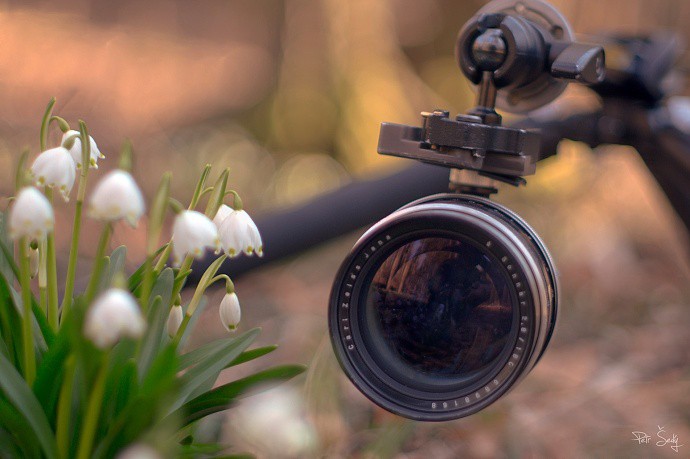 Awesome combination of camera and flowers and playful depth of focus.