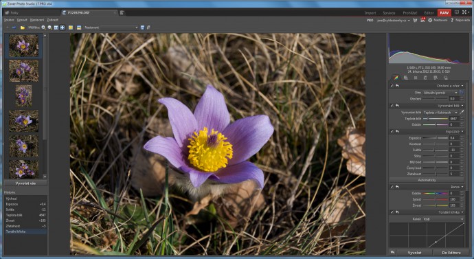 When digitally editing photos, you can “mine” more out of them with a RAW digital negative than with just a JPEG. The RAW converter in Zoner Photo Studio offers all the tools you need for “developing” photos.It’s not much more complicated than the Editor.