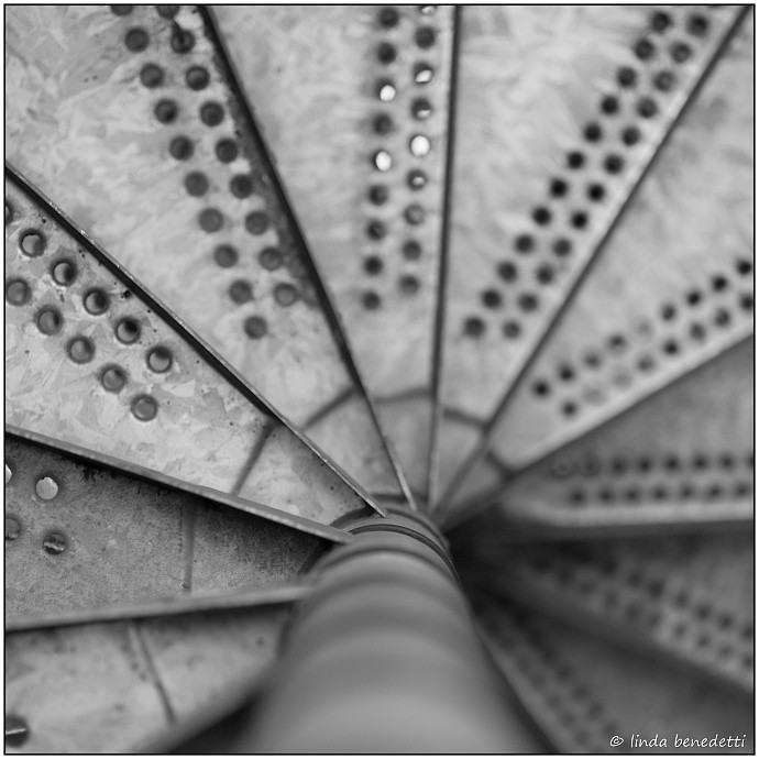 At first it’s not clear what’s in this photo. Even in something so simple as a winding staircase, this author has managed to find something interesting to photograph. We appreciate her creativity and her keen eye. Author: lilibii pics