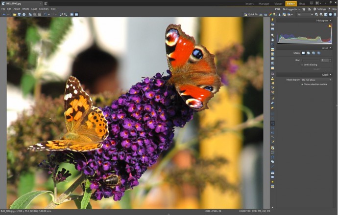Removing a distracting element from the foreground using the Fill with Surroundings tool.