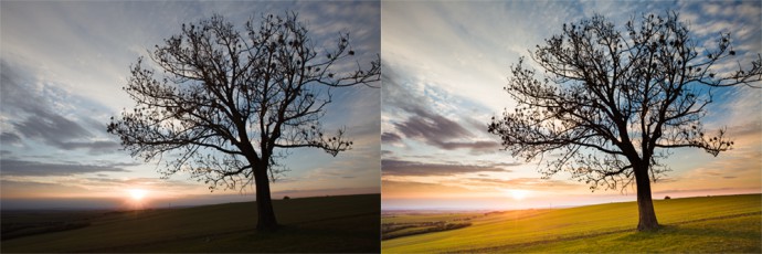 A tree photo, out-of-camera and after edits. Canon 5D Mark II, Canon EF 16–35/2.8 II, 1/100 s, f/9, ISO 100, focus 16 mm 