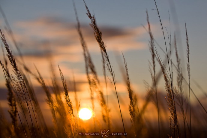 A grass-scape with a background of sky. Canon 5D Mark II, Canon EF 70–200/2.8 II IS, 1/1000 s, f/5.6, ISO 100, focus 70 mm 