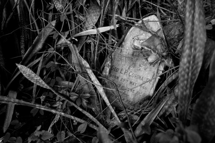 The black-and-white take on the subject makes this photo of a forgotten, sunken tombstone all the gloomier. Author: Vlastní stopou