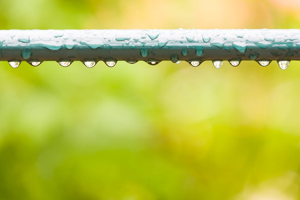 Canon 5D Mark III, Canon EF 70–200/2.8 IS II, 1/160 s, f/5.6, ISO 400, focus 200 mm