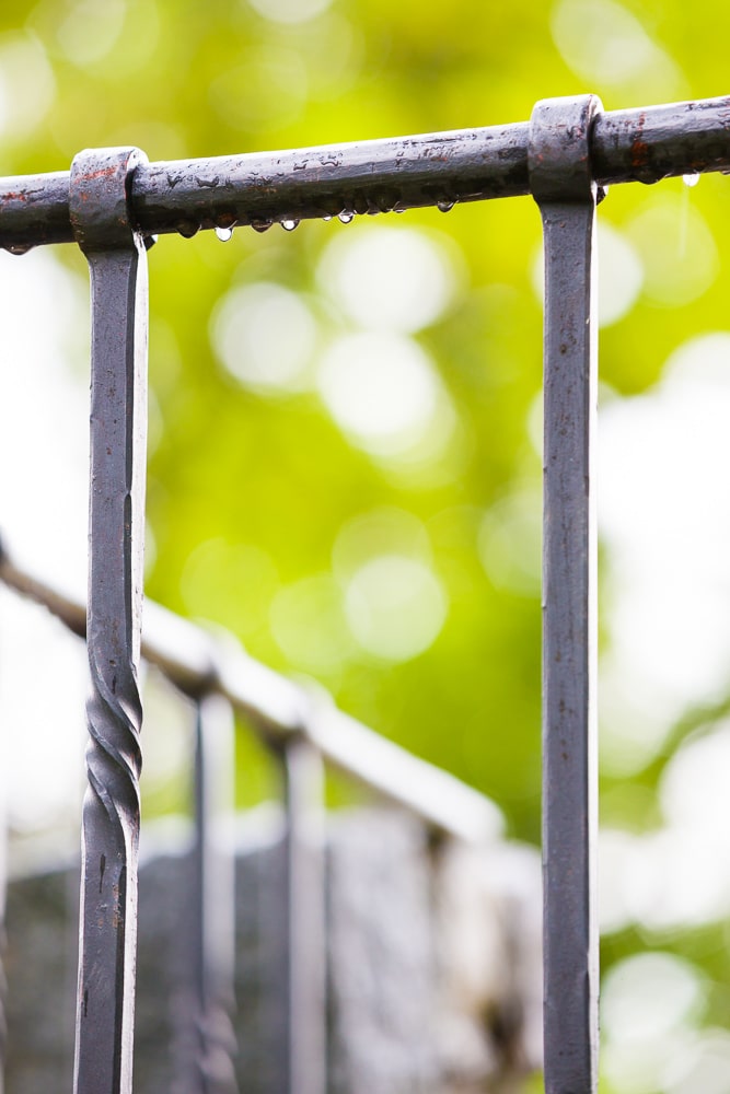 Canon 5D Mark III, Canon EF 70–200/2.8 IS II, 1/160 s, f/5.0, ISO 400, focus 200 mm