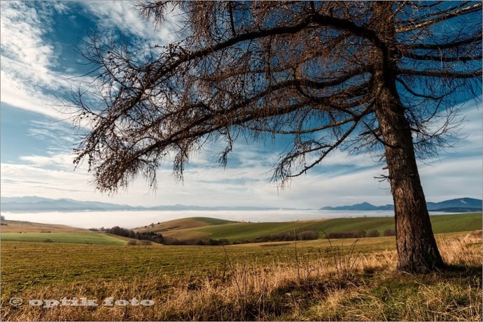 Fall color sgive even the most everyday landscapes an unusual look. Photo: Imrich Gonda