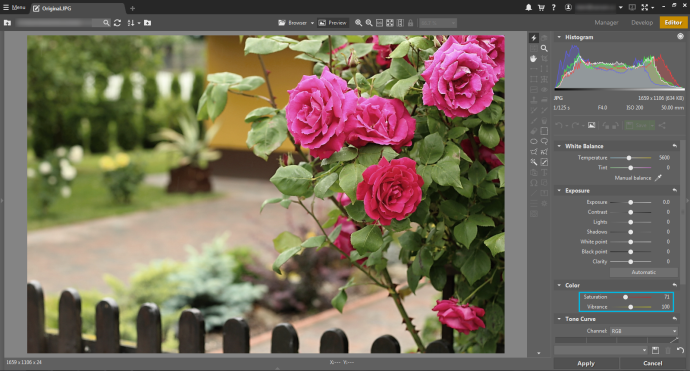 Lowering Saturation eliminates red-channel blowout. This reduces the picture’s overall saturation.