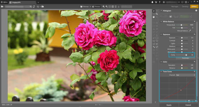 To restore detail in the roses, select them, raise Clarity, and lower Saturation in the red channel.