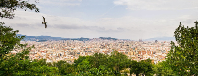 A panorama of Barcelona from the peak named Montjuic, stitched together from three shots. The seagull was flying nearby, and so before the shot, I waited for it to fit well into the photo’s composition.