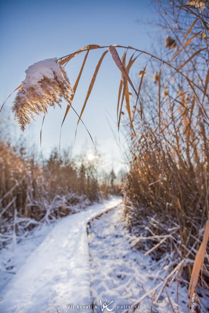 An f/2.8 aperture. Canon 5D Mark II, Canon EF 16–35/2.8 II, 1/3200 s, f/2.8, ISO 100, focus 16 mm 