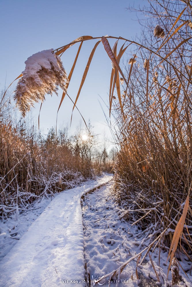 This time the aperture is f/9. Canon 5D Mark II, Canon EF 16–35/2.8 II, 1/320 s, f/9.0, ISO 100, focus 16 mm 